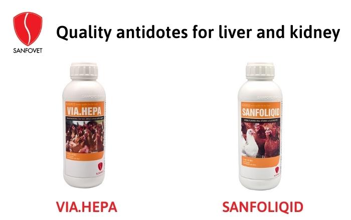 Quality antidotes for liver and kidney